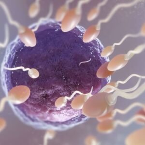 Perfíl de Fertilidad